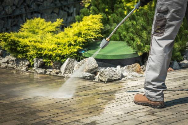 Best Sidewalk and Walkway Cleaning  in Millville, DE